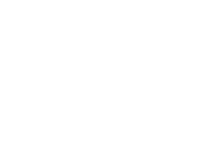 IndexSol Consulting